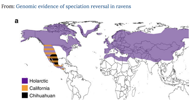 (From paper): (From paper): Reticulate speciation history of North American ravens. a Geographic range of distinct mtDNA lineages within Common and Chihuahuan Ravens based on previous mtDNA studies and range records.