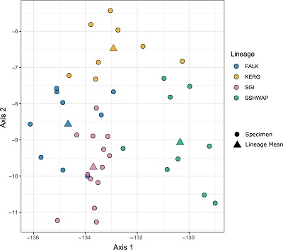 <span>(From paper): Linear Discriminant Analysis of linear morphometrics. Circles represent individual specimens with triangles showing the lineage mean</span>