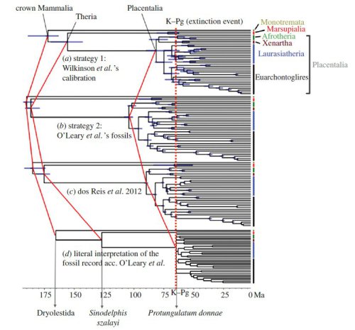 dos Reis et al. 2014, Figure 1. a, b, and c are the estimates they contemplate; d is the view of O’Leary et al.