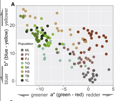 (From paper): Plant Color Variation of Fritillaria delavayi among Populations. (A) Color divergence from eight populations in human CIE L∗a∗b∗ color space