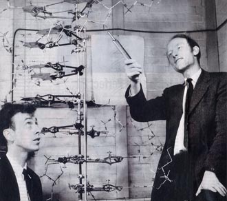 Watson i Crick wkrótce po tym jak wkroczyli do pubu i oznajmili, e odkryli tajemnic ycia. Francis Crick zmar 28 lipca 2004 roku w wieku 88 lat. Matt Ridley napisa jego byskotliw biografi w ksice Francis Crick, Discoverer of the Genetic Code.