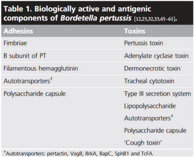 Krztucowe toksyny i adhezyny, w tym postulowana przez niektórych autorów hipotetyczna “toksyna kaszlowa”; https://www.ncbi.nlm.nih.gov/pubmed/24992986