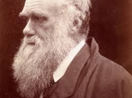 Charles Robert Darwin