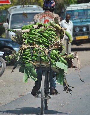 Rolnik z Tanzanii przewocy banany. [Nici Keil/ Pixabay]