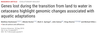 https://advances.sciencemag.org/content/5/9/eaaw6671