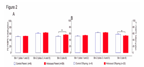 (From paper.) Figure 2. Methylation at FKBP5 intron 7, bins 1, 2 and 3 for Holocaust survivors (A), Holocaust survivor offspring (B) and their respective comparison subjects. The percent methylation (mean ± s.e.m.) is represented by red bars for Holocaust survivor parents and their offspring (F0:n=32, F1:n=22) and by white bars for F0 and F1 controls (F0:n=8, F1:n=9). Division of sites into bins is indicated. Significance was set at p<.05.