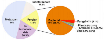 (Z artykuu): Source of genes in the H. dujardini genome as determined by HGT index calculations following Galaxy tools taxonomy extraction