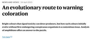 https://www.nature.com/articles/d41586-023-01356-8#:~:text=Bright%20colours%20that%20signal%20toxicity,an%20answer%20to%20the%20puzzle.