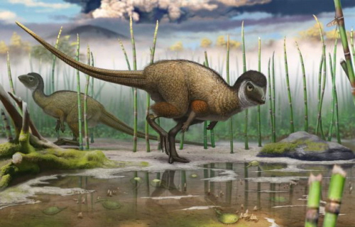 (Z “National Geographic”): Ta ilustracja pokazuje Kulindadromeus zabaikalicus, nowo znalezionego opierzonego dinosaura, w jego rodowisku naturalnym. ILUSTRACJA ANDREY ATUCHIN