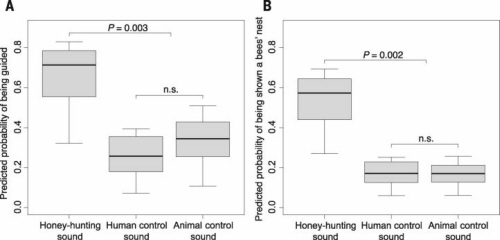 Fig. 2 Probability of a successful mutualistic interaction, in relation to experimentally given acoustic cues. Values are predicted probabilities of (A) being guided by a honeyguide and (B) being shown a bees’ nest on a 15-min search, derived from a logistic model of data from experimental transects and accounting for time of day (minutes from sunrise to sunset). Boxes show medians and quartiles; whiskers show ranges (n = 24 trials per treatment group; P values show planned comparisons; n.s., not significant).