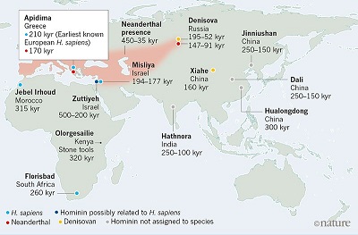 Figure 1 | Some key early fossils of Homo sapiens and related species in Africa and Eurasia. Harvati et al.5 present their analyses of two fossil skulls from Apidima Cave in Greece. They report that the fossil Apidima 1 is an H. sapiensspecimen that is at least 210,000 years old, from a time when Neanderthals occupied many European sites. It is the earliest known example of H. sapiens in Europe, and is at least 160,000 years older than the next oldest H. sapiensfossils found in Europe (not shown). Harvati and colleagues confirm that, as previously reported, Apidima 2 is a Neanderthal specimen, and they estimate that it is at least 170,000 years old. The authors’ findings, along with other discoveries of which a selection is shown here, shed light on the timing and locations of early successful and failed dispersals out of Africa of hominins (modern humans and other human relatives, such as Neanderthals and Denisovans). kyr, thousand years old.